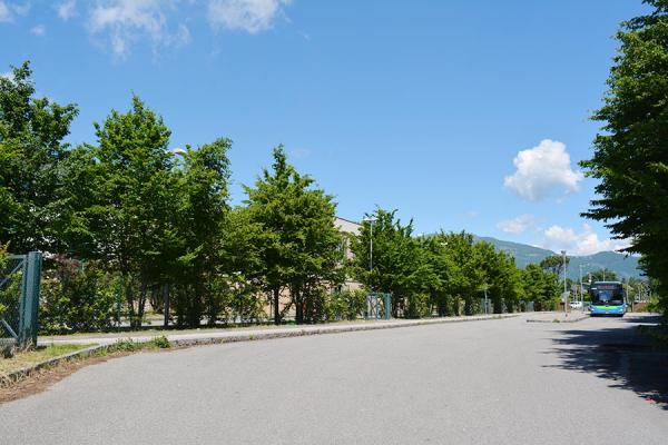 Corsia_FermataAutobus_accessoViaBerizzi
